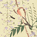Oseki Tanaka Gallery